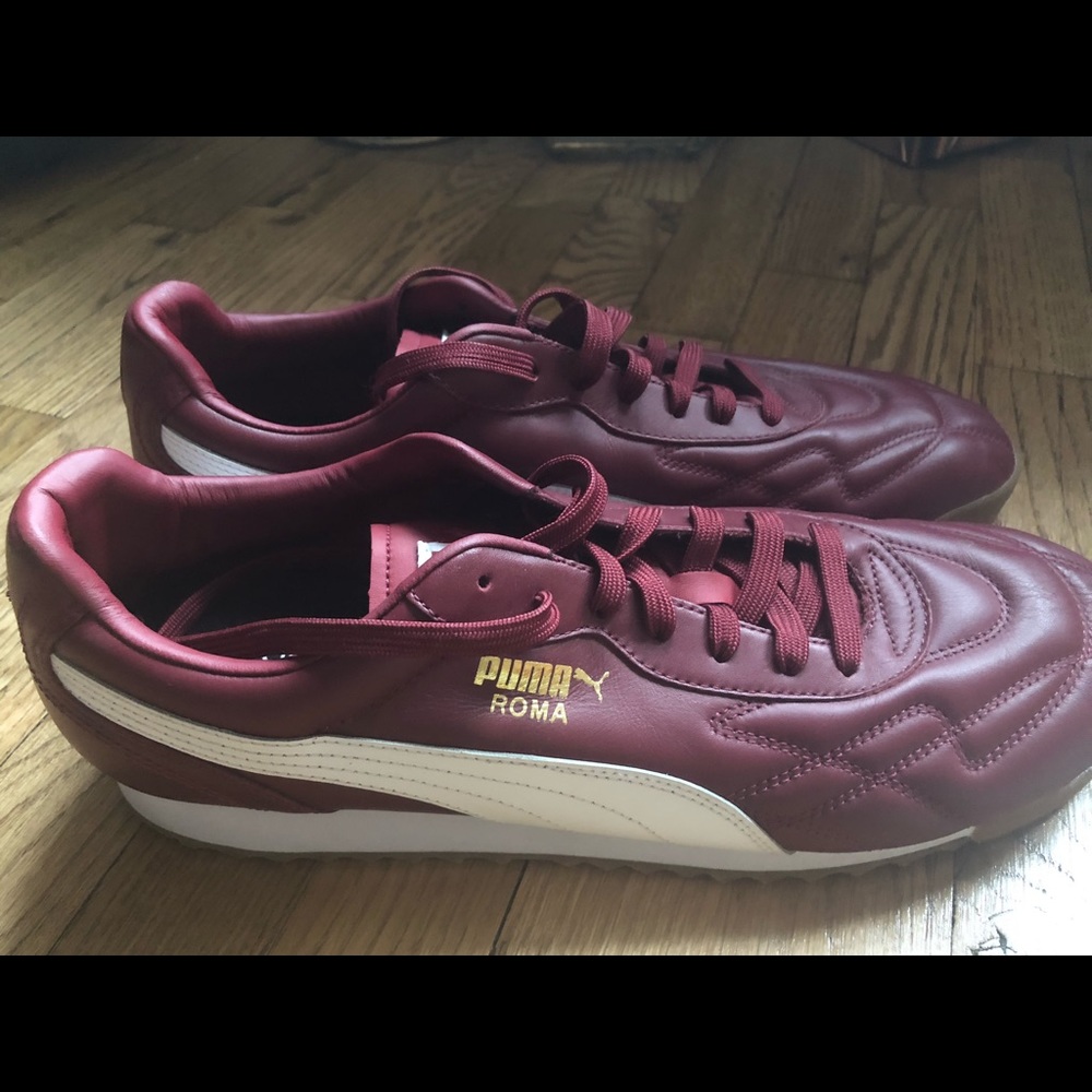 Puma roma aniversario